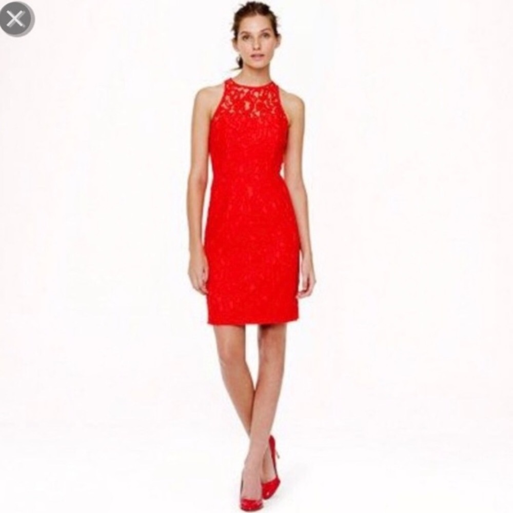 J. Crew poppy Pamela dress in Leavers lace